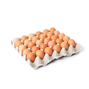 EGGLC