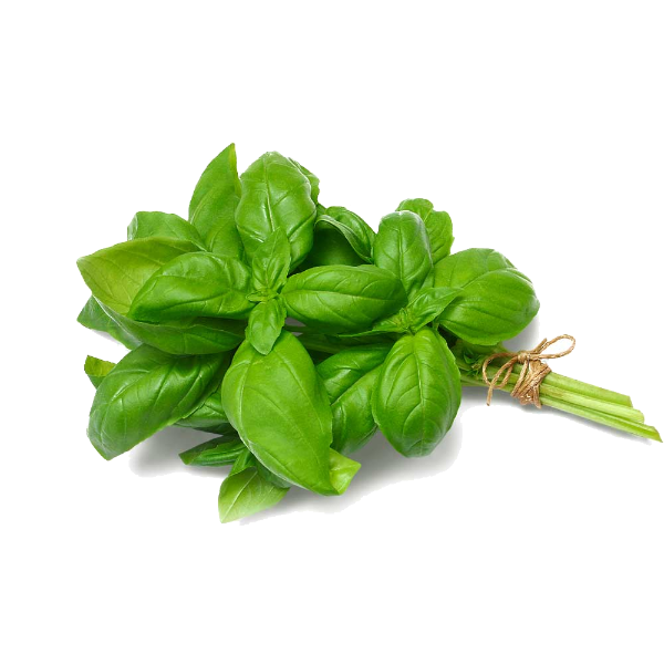 Fresh Basil (Bunch)