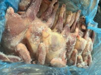 Polish Whole Hen 10 x 1 kg Case READY TO COOK