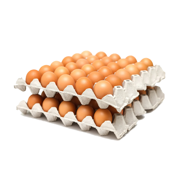 EGGM