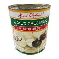 Waterchestnut A10 Tin