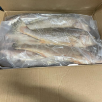 Fish Yellow Croaker  2 X 2.5Kg Case