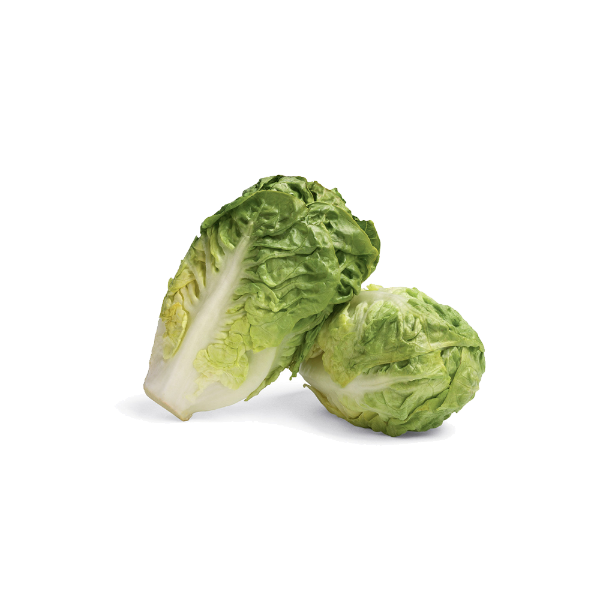 LETTUCELG