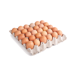 EGGTRAY