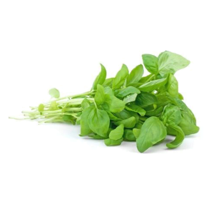 BASIL