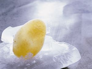 FROZEN POTATO