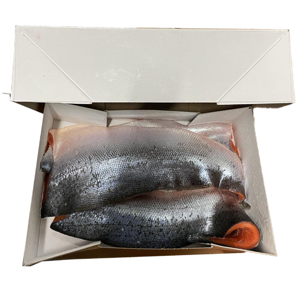 Fresh Salmon Case