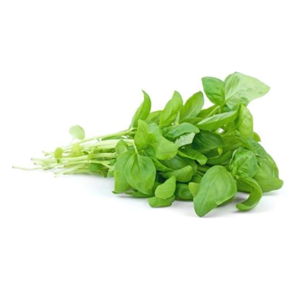 BASIL