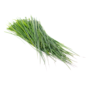 CHIVE